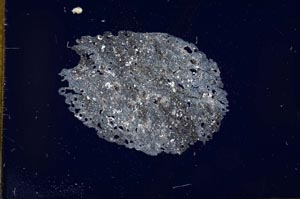 Cross Polarized, S18867