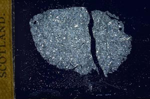 Cross Polarized, S18868