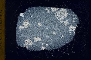 Cross Polarized, S18869