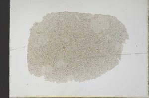 Plane Polarized, S18869