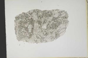 Plane Polarized, S18870