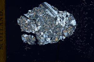 Cross Polarized, S18908