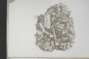 Plane Polarized, S18911