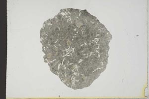 Plane Polarized, S18943