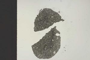 Plane Polarized, S19088