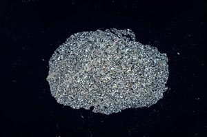 Cross Polarized, S19101