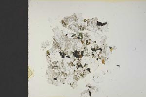 Plane Polarized, S19107