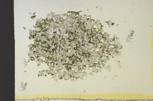 Plane Polarized, S19116