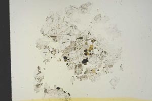 Plane Polarized, S19119