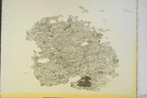 Plane Polarized, S19122