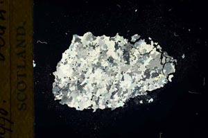 Cross Polarized, S19126