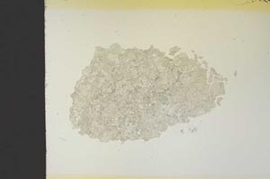 Plane Polarized, S19126