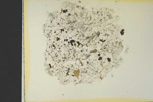 Plane Polarized, S19128