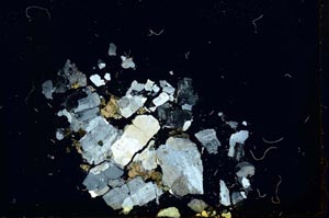 Cross Polarized, S19131