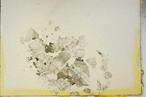 Plane Polarized, S19131