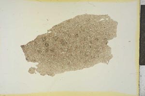 Plane Polarized, S19135