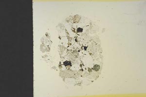 Plane Polarized, S19146