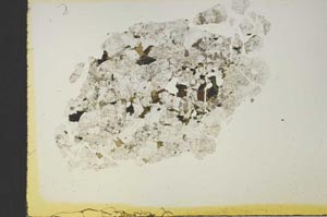 Plane Polarized, S19149