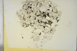 Plane Polarized, S19150