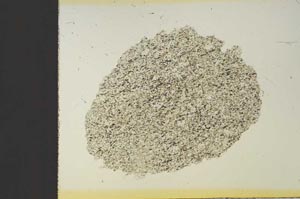 Plane Polarized, S19153