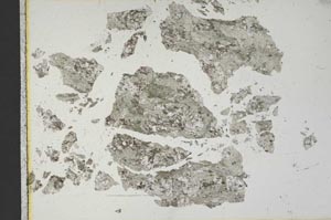 Plane Polarized, S19162