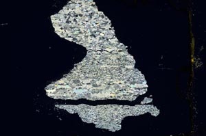 Cross Polarized, S19174