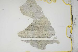 Plane Polarized, S19174