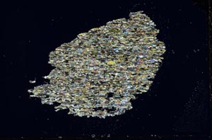 Cross Polarized, S19176