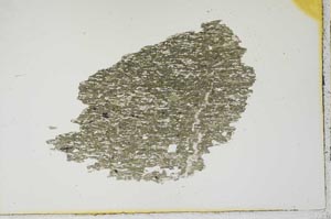 Plane Polarized, S19176