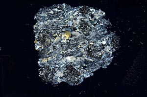 Cross Polarized, S19177