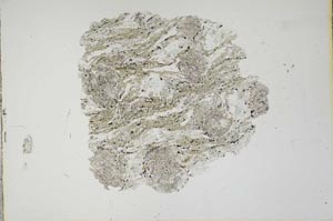 Plane Polarized, S19177