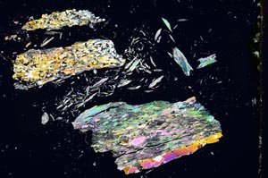 Cross Polarized, S19178