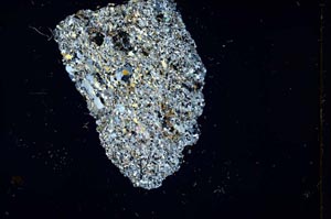 Cross Polarized, S19179