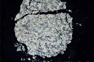 Cross Polarized, S19180