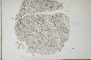 Plane Polarized, S19180