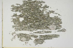Plane Polarized, S19184