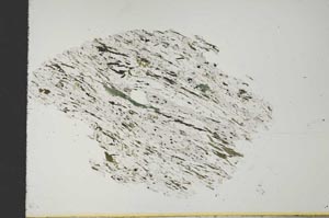 Plane Polarized, S19210