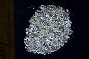 Cross Polarized, S19243