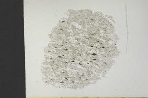 Plane Polarized, S19243