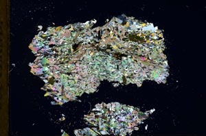 Cross Polarized, S19244