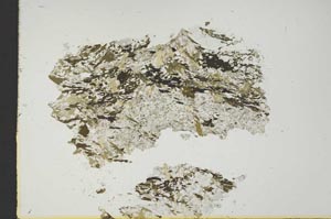 Plane Polarized, S19244