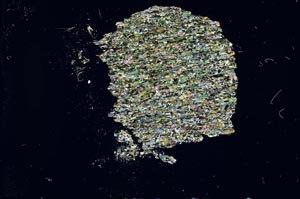 Cross Polarized, S19245