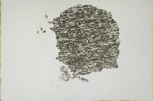 Plane Polarized, S19245