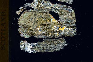 Cross Polarized, S19247