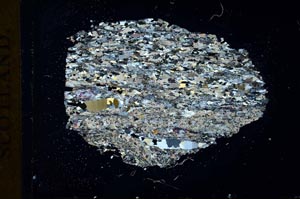 Cross Polarized, S19248