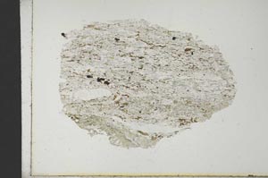 Plane Polarized, S19248