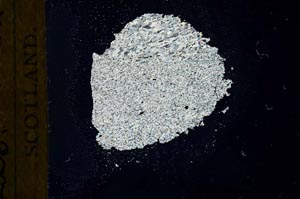 Cross Polarized, S19249