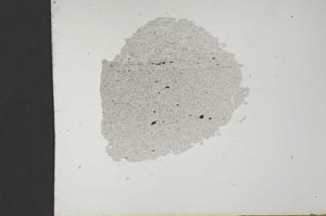 Plane Polarized, S19249