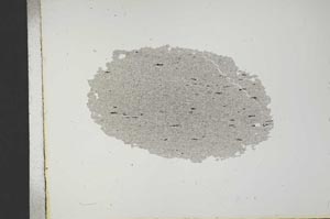 Plane Polarized, S19250