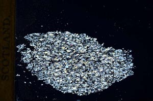 Cross Polarized, S19251/a